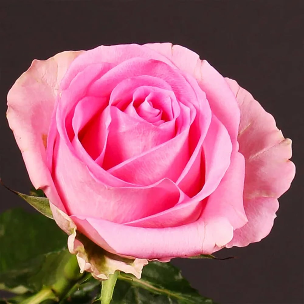 Govind Spiritual Flowers Product